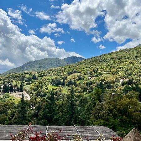 B&B Su Biancu - Sardinian Experience 우르줄레이 외부 사진