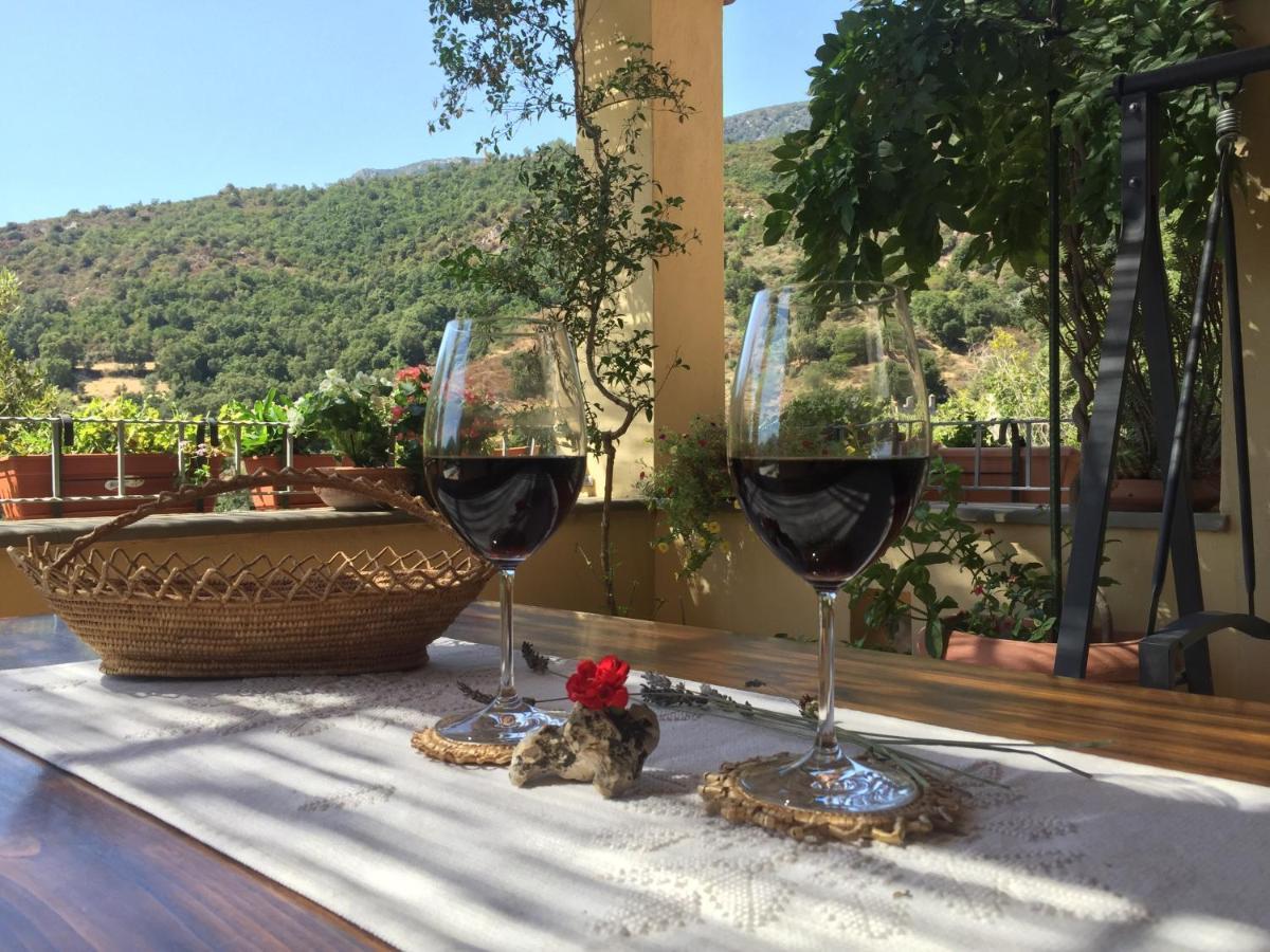 B&B Su Biancu - Sardinian Experience 우르줄레이 외부 사진