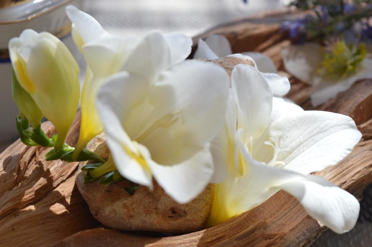 B&B Su Biancu - Sardinian Experience 우르줄레이 외부 사진