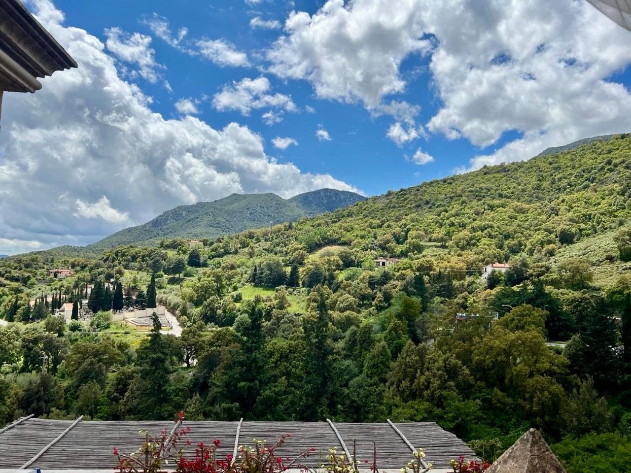 B&B Su Biancu - Sardinian Experience 우르줄레이 외부 사진